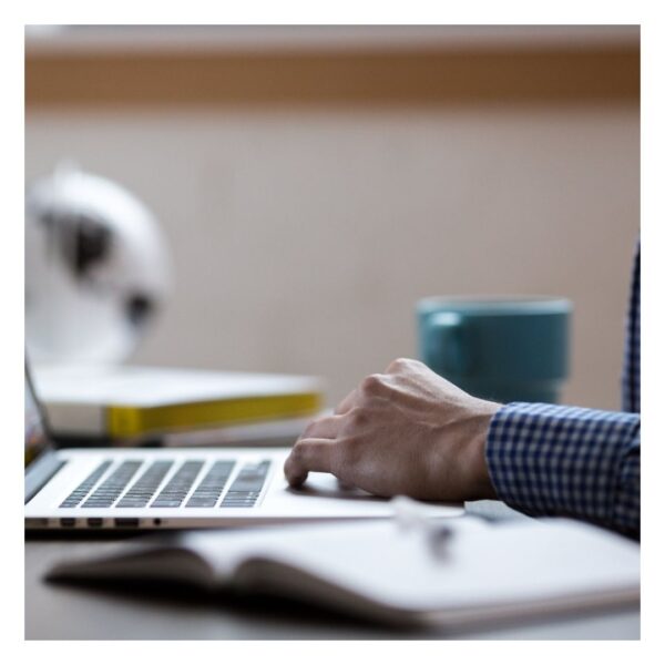 person researching gun value online